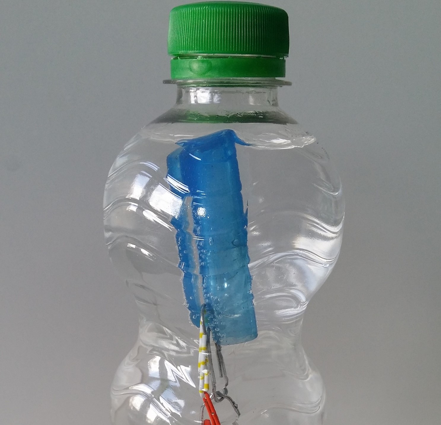 Das Bild zeigt einen Cartesischen Taucher in einer PET-Flasche